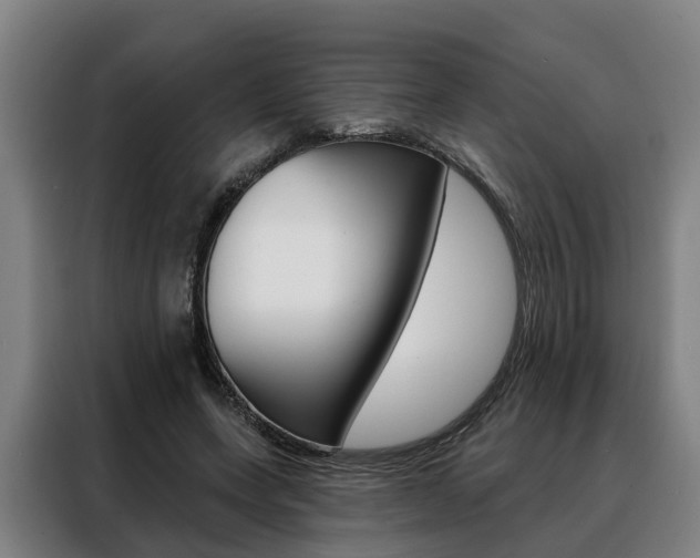 X0000088470543200705220942