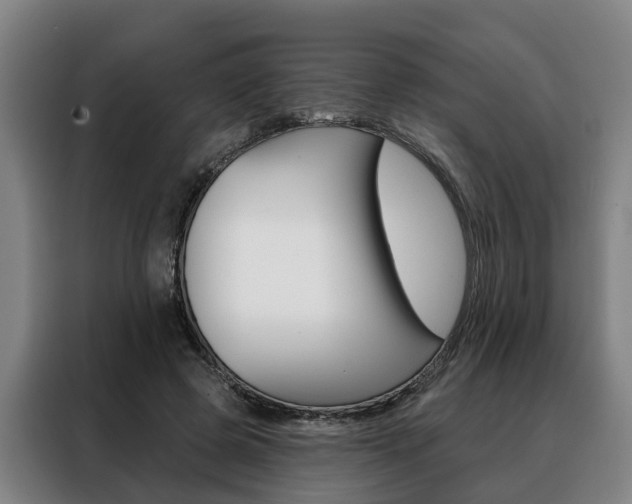 X0000088470545200705220943
