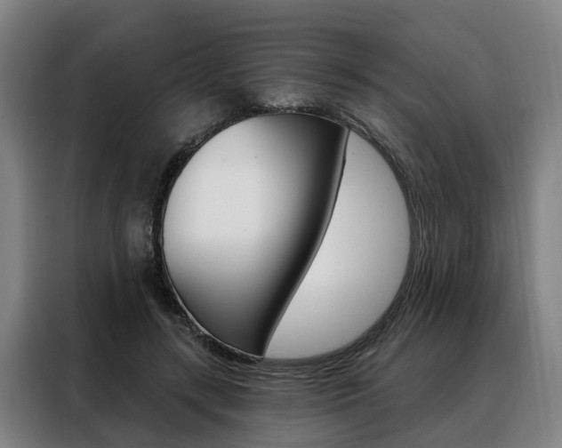 X0000088470547200705220943