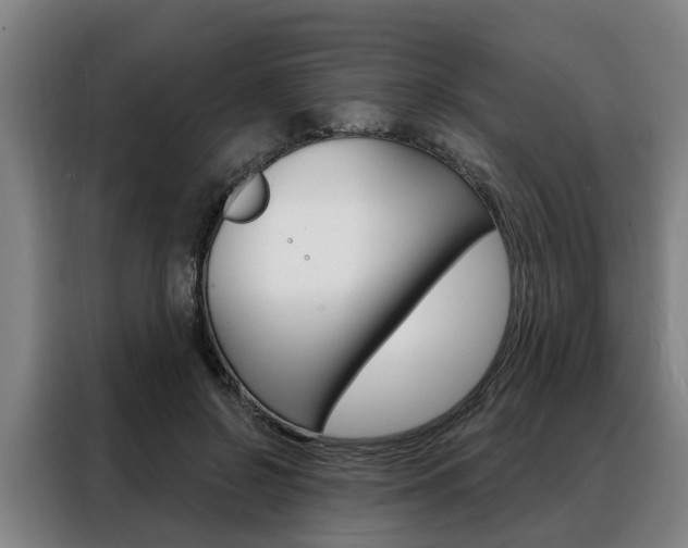 X0000088470550200705220943