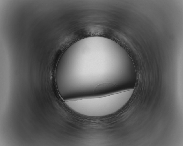 X0000088470551200705220943