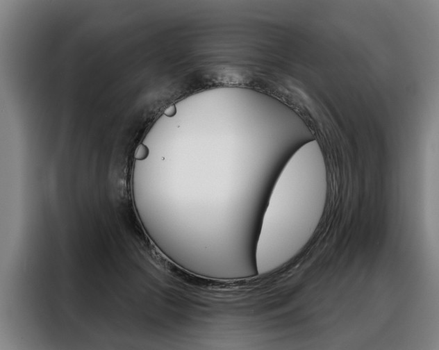 X0000088470553200705220943
