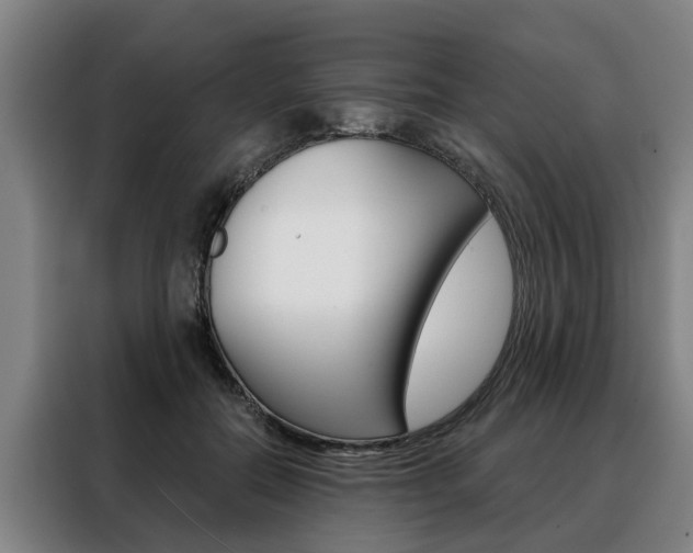X0000088470554200705220943