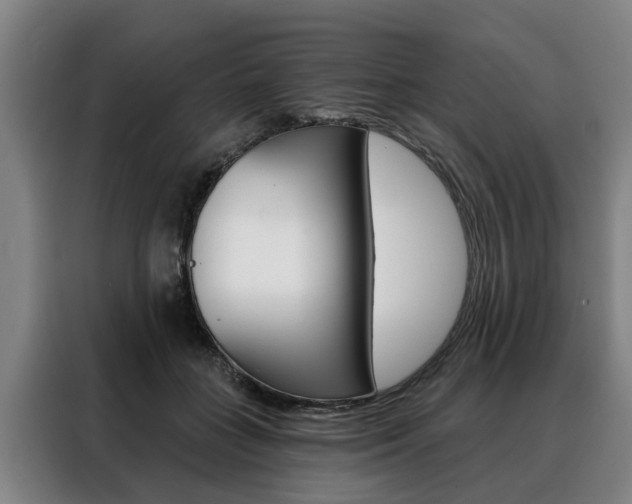 X0000088470555200705220943
