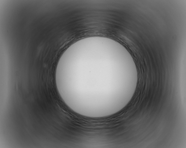 X0000088470556200705220943