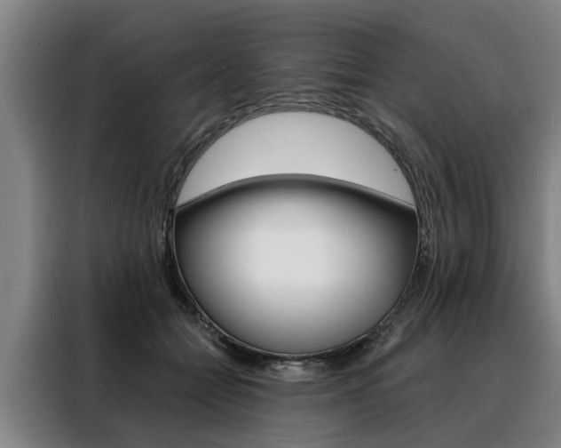 X0000088470558200705220943