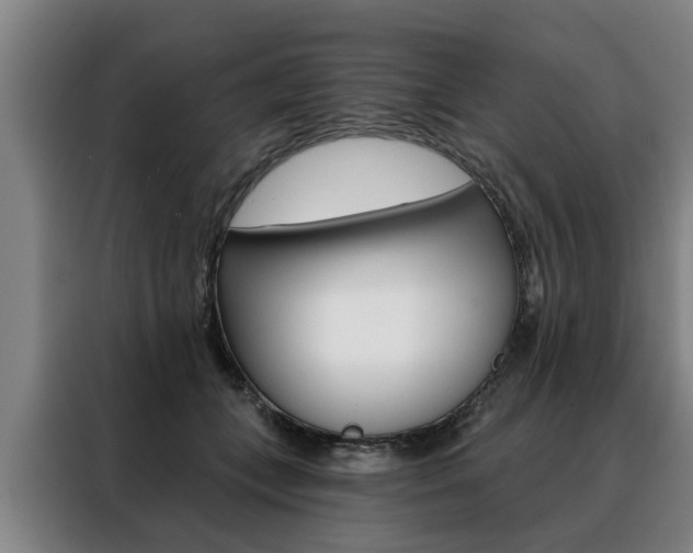 X0000088470559200705220943