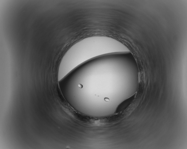 X0000088470564200705220943