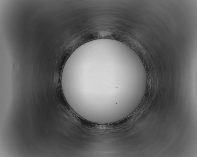 X0000088470565200705220943