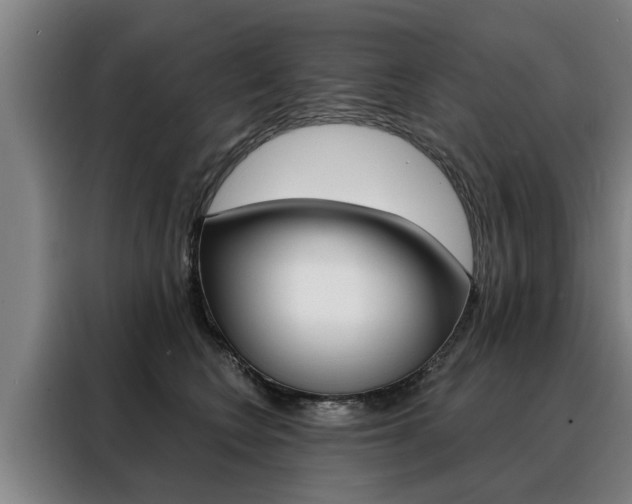 X0000088470566200705220943