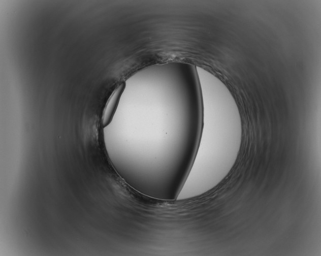 X0000088470570200705220943