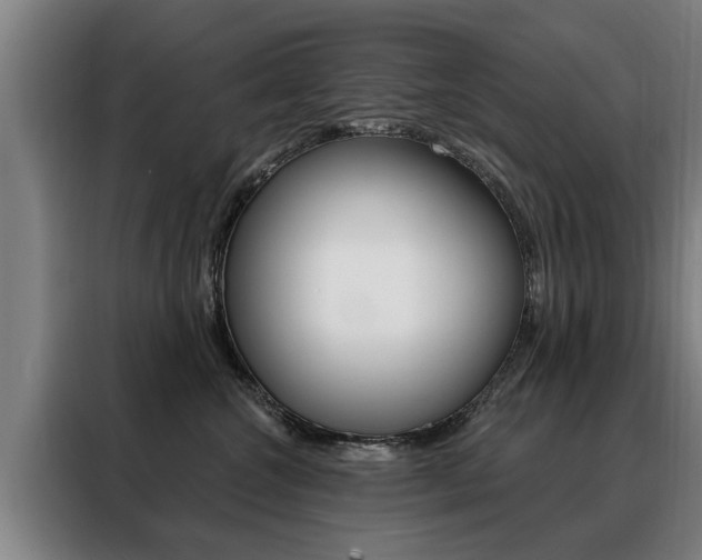 X0000088470572200705220943