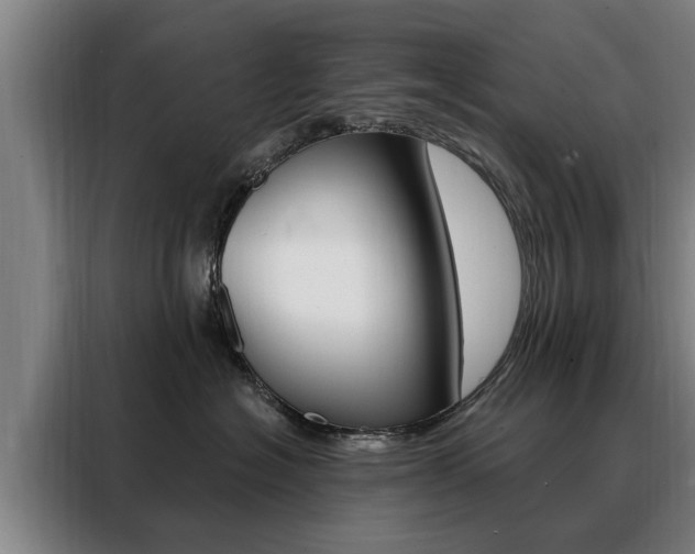 X0000088470574200705220943
