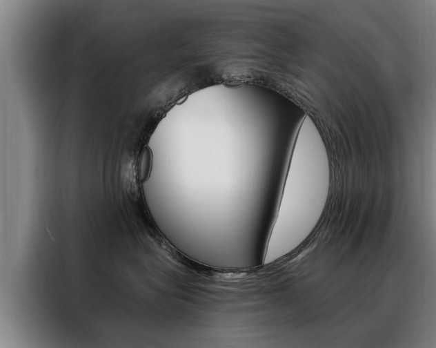 X0000088470575200705220943