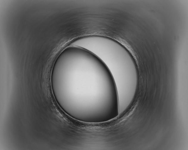 X0000088470577200705220942