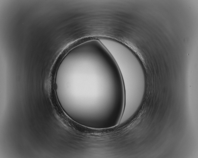 X0000088470580200705220942
