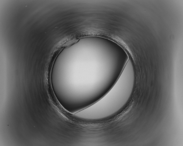 X0000088470581200705220942