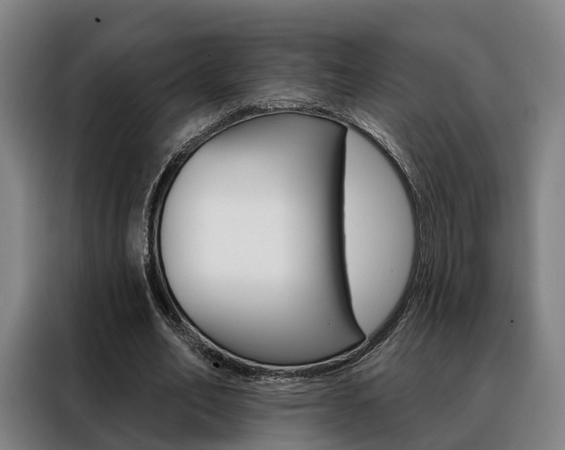 X0000088470582200705220942