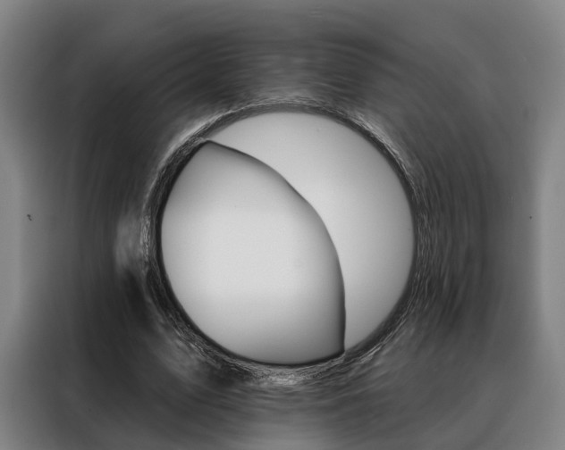 X0000088470583200705220942