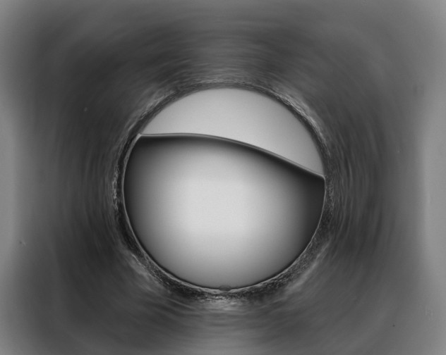 X0000088470585200705220942