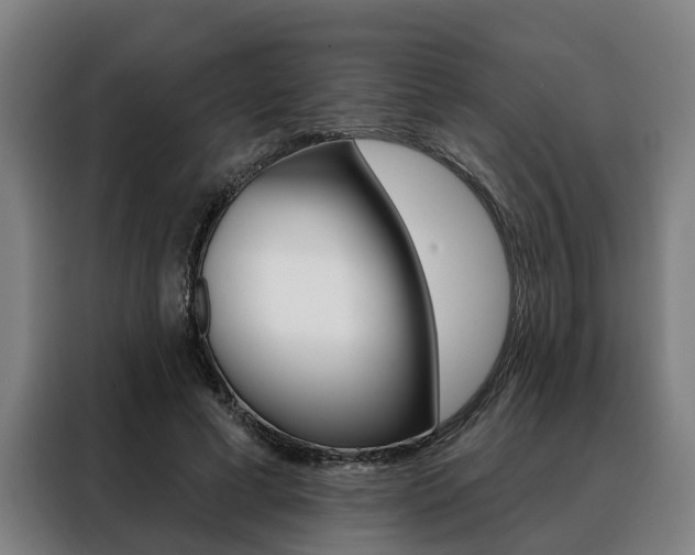 X0000088470593200705220942