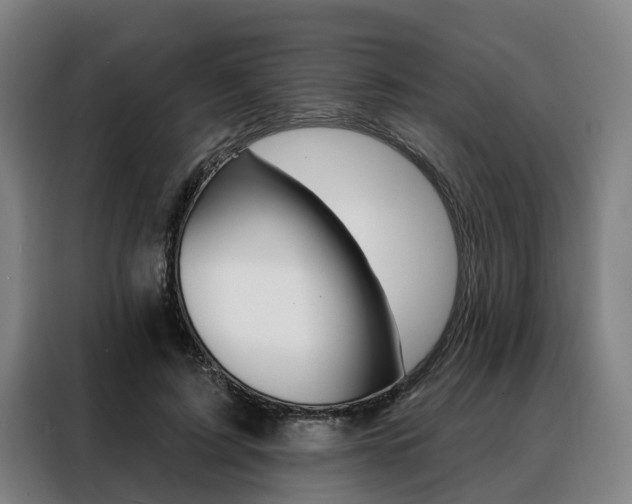 X0000088470595200705220942