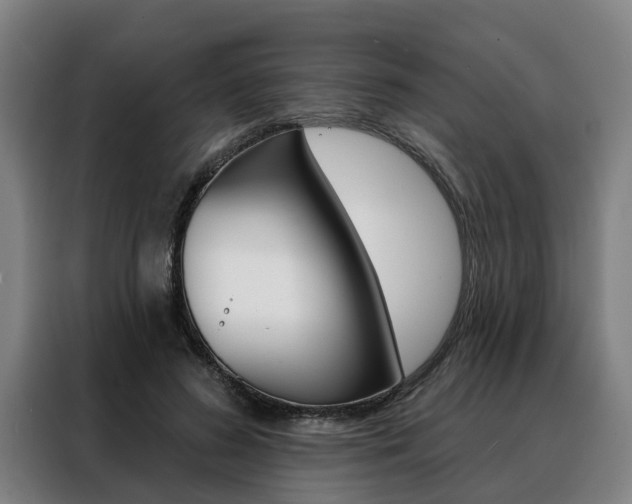 X0000088470596200705220942
