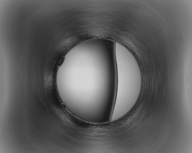 X0000088470597200705220942