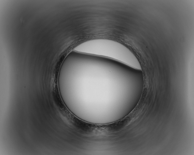 X0000088470599200705220942