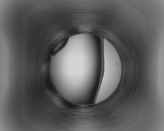 X0000088470601200705220942