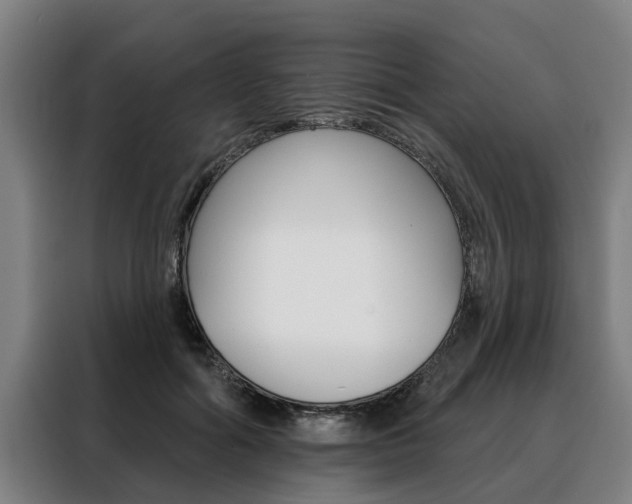 X0000088470602200705220942