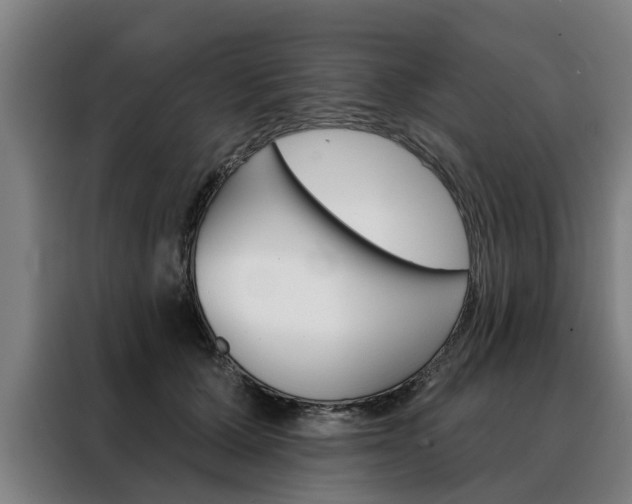 X0000088470607200705220942