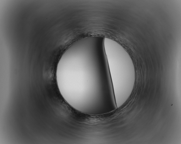 X0000088470608200705220942