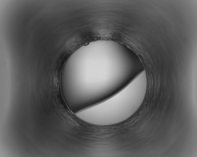 X0000088470609200705220942