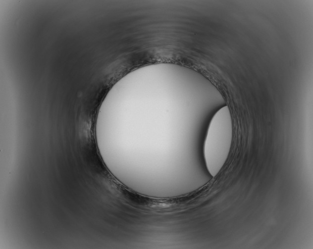 X0000088470610200705220942