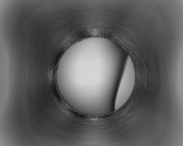 X0000088470611200705220942