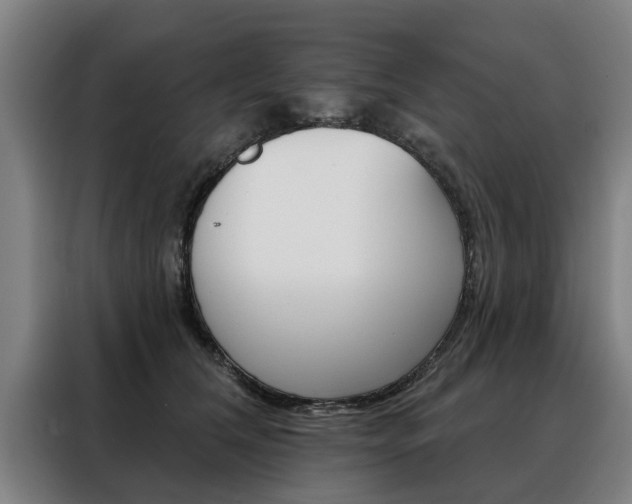 X0000088470612200705220942