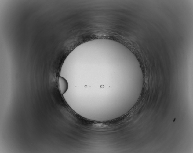 X0000088470614200705220942