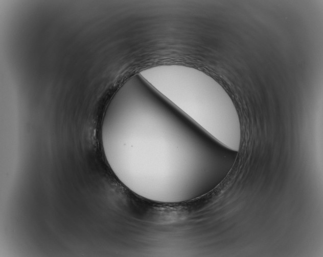 X0000088470615200705220942