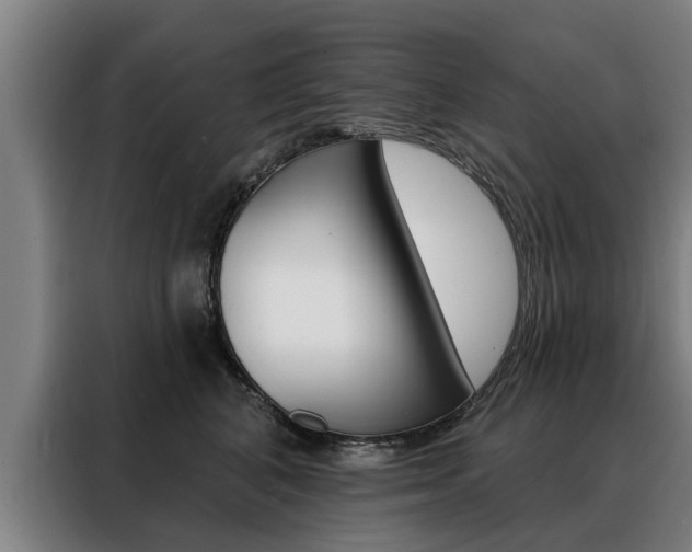 X0000088470616200705220942