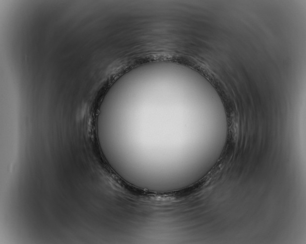 X0000088470619200705220942