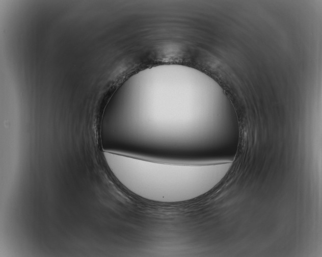 X0000088470620200705220942