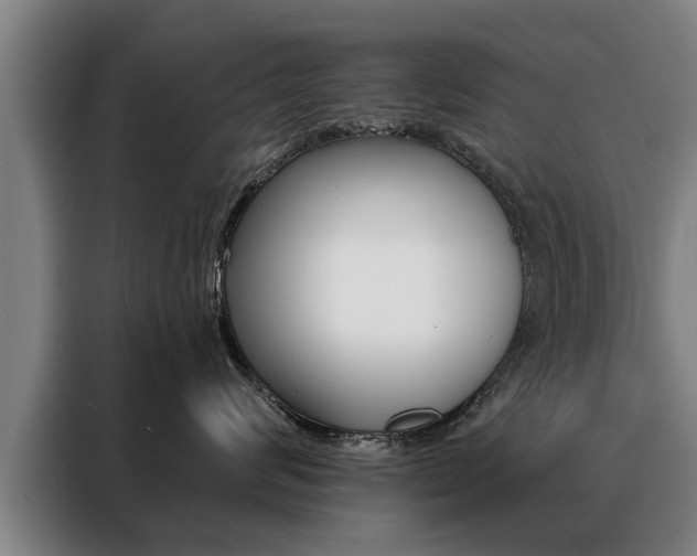 X0000088470624200705220942