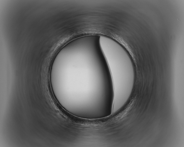 X0000088470625200705220941