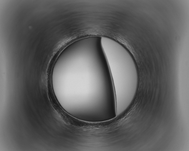 X0000088470626200705220941