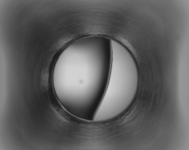 X0000088470627200705220941