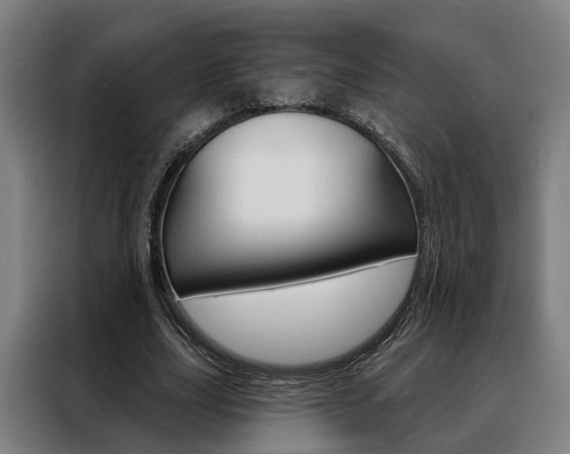 X0000088470631200705220941