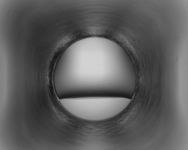 X0000088470635200705220941
