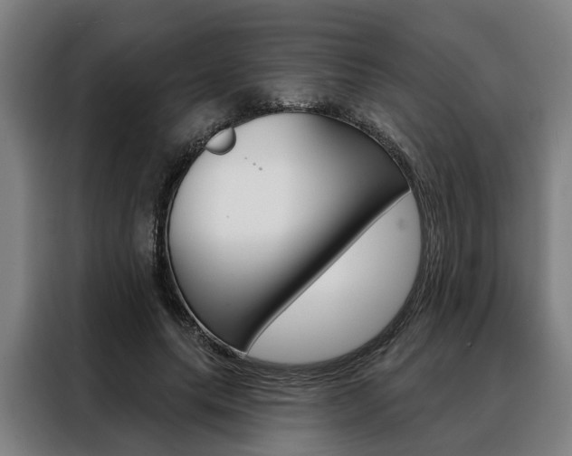 X0000088470639200705220941
