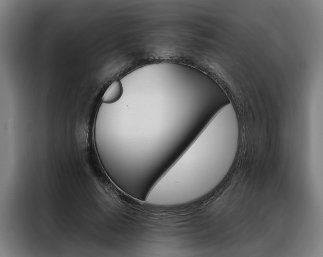 X0000088470640200705220941